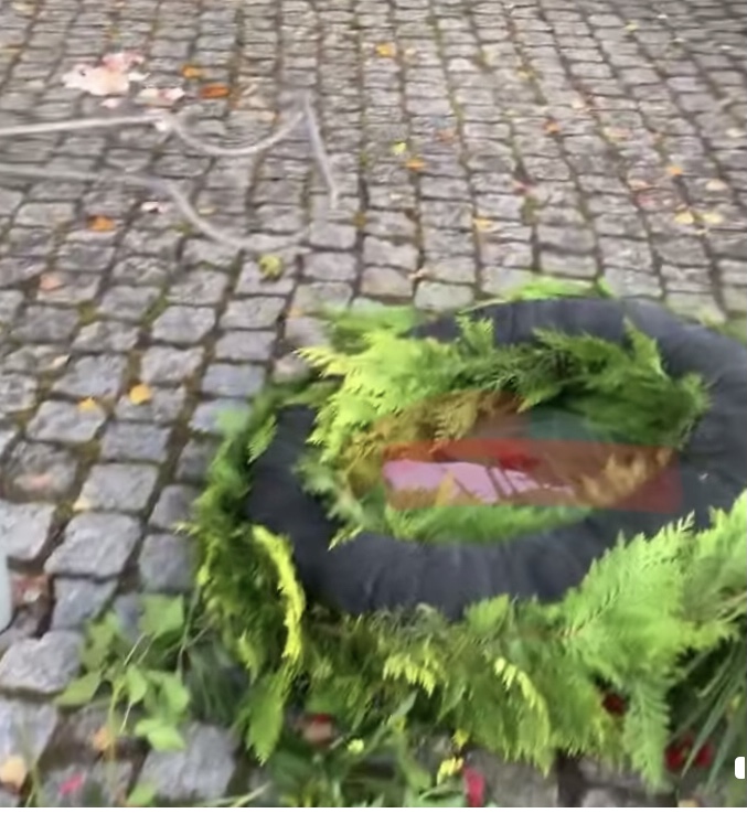 Vorschaubild Vorschaubild